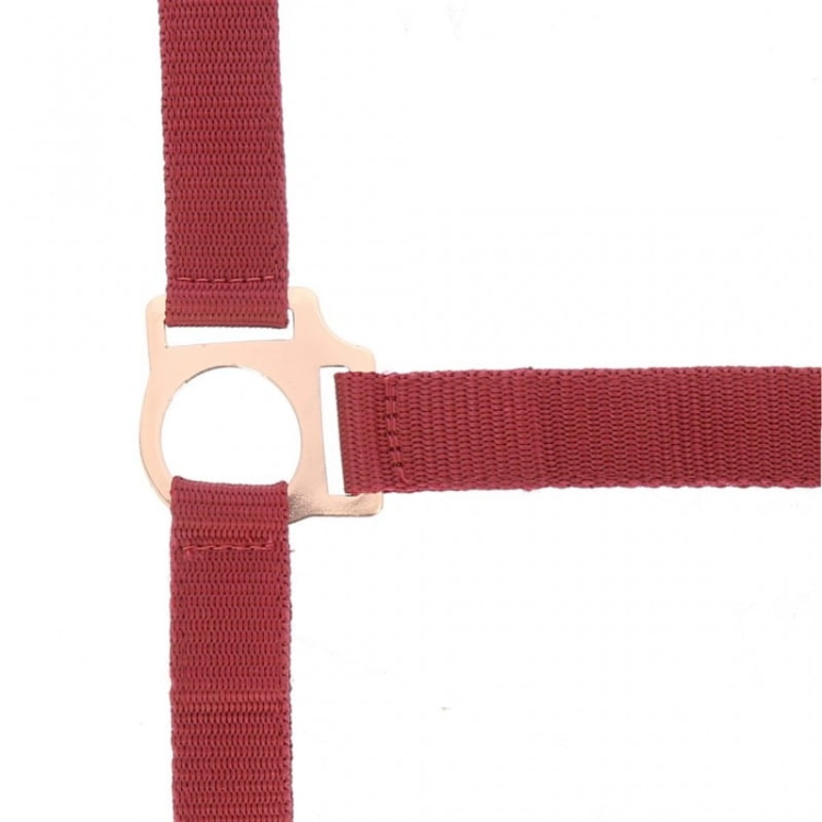 Norton-kantar-z-uwiazem-Rosegold