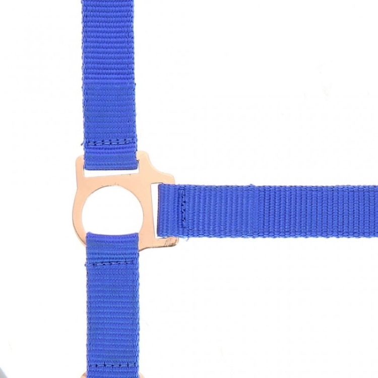 Norton-kantar-z-uwiazem-Rosegold