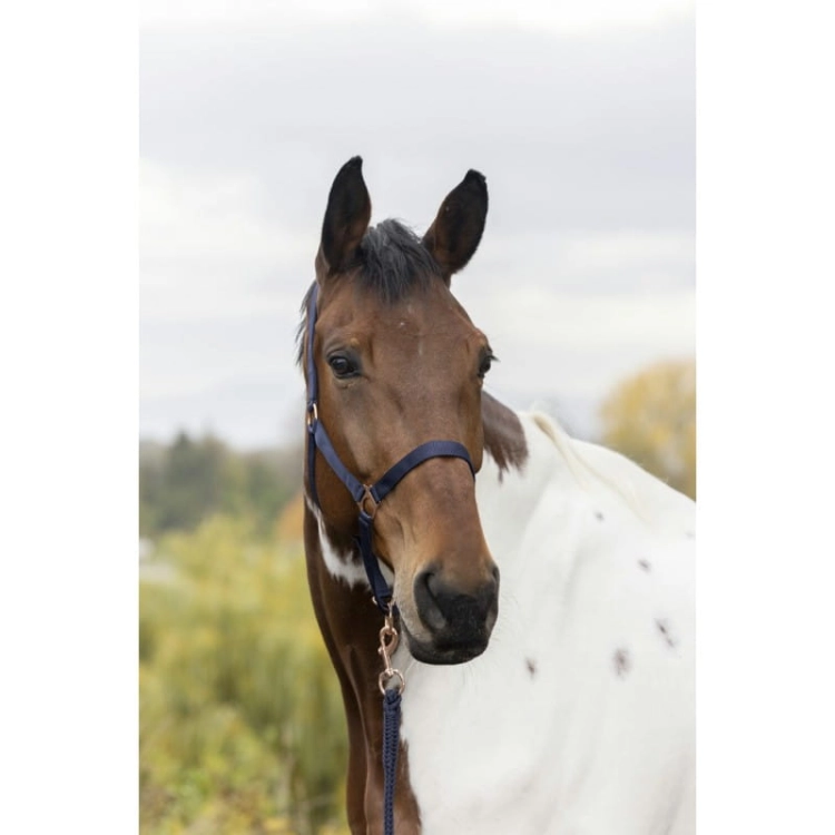 Norton-kantar-z-uwiazem-Rosegold