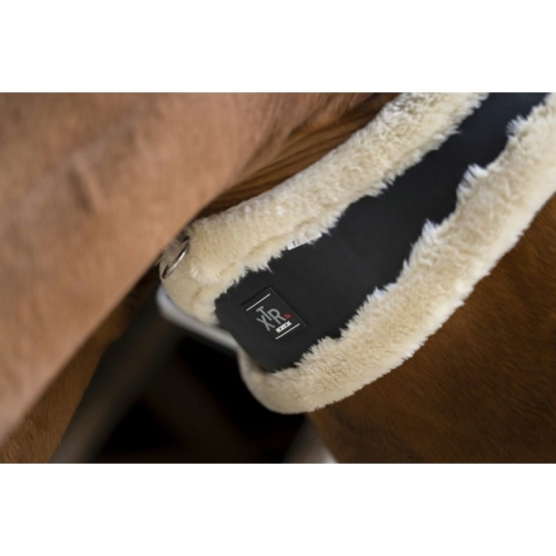 Norton-popreg-XTR-Mouton-Syntetique