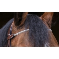 eric-thomas-pro-strass-bridle (4).jpg