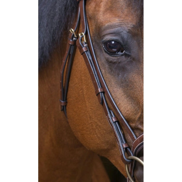 eric-thomas-pro-strass-bridle (3).jpg