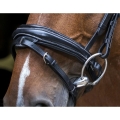 eric-thomas-pro-design-bridle (3).jpg