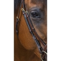 eric-thomas-pro-wave-bridle (4).jpg