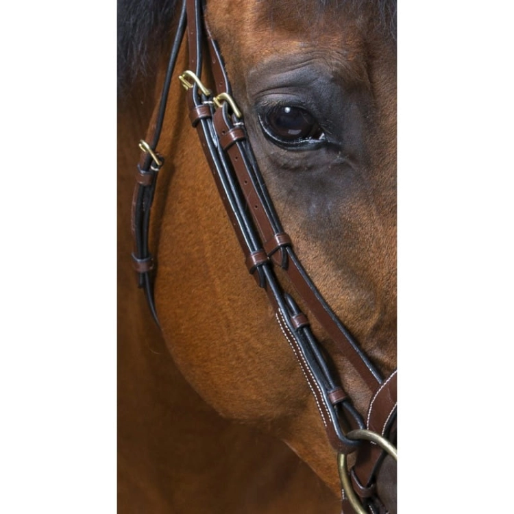 eric-thomas-pro-wave-bridle (4).jpg