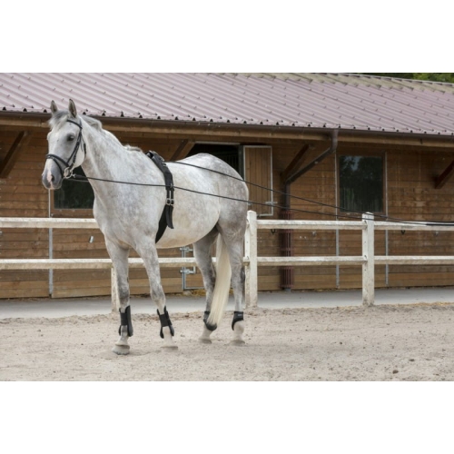 Lonża podwójna Riding World