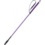 whipgo-points-whip (2).jpg