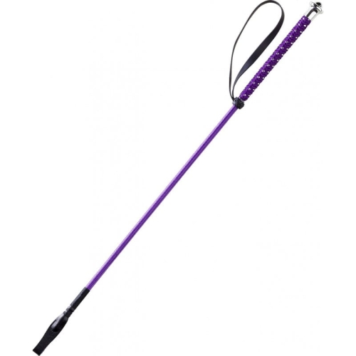 whipgo-points-whip (2).jpg
