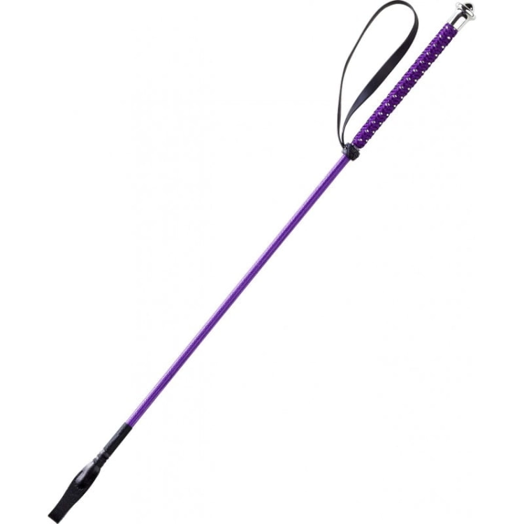 whipgo-points-whip (2).jpg