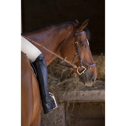 Czapsy Equi Theme Premium