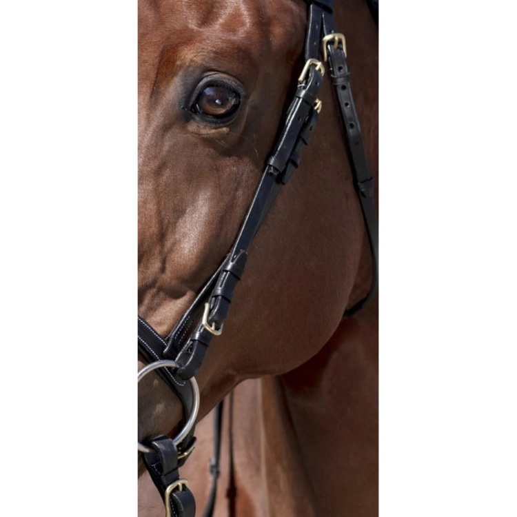 Norton-oglowie-Pro-stitched