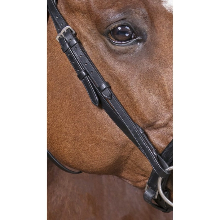 Norton-oglowie-Confort