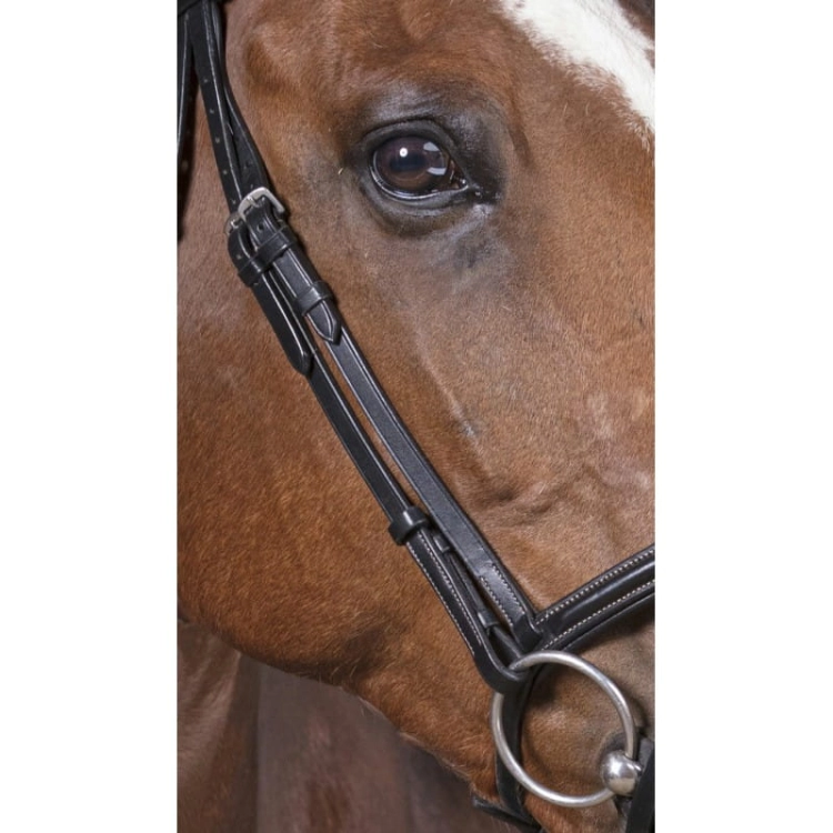 Norton-oglowie-Fin