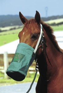 Torba do karmienia Equi Theme "Canvas"