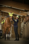 Opaska odblaskowa na kask Equi Theme