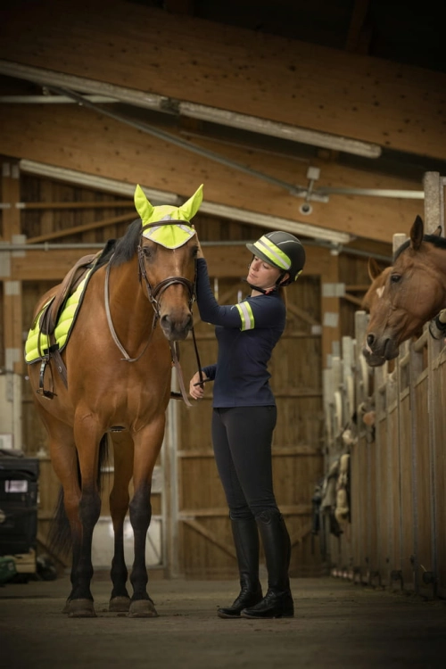 Opaska odblaskowa na kask Equi Theme
