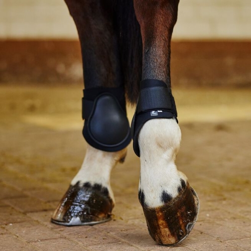 ochraniacze-tylne-horze-chicago-fetlock