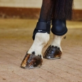 ochraniacze-tylne-horze-chicago-fetlock