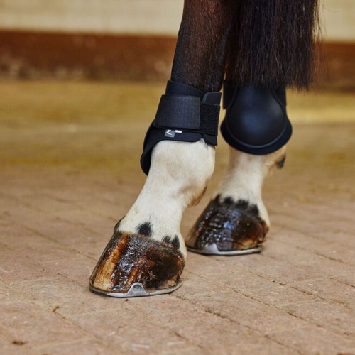ochraniacze-tylne-horze-chicago-fetlock