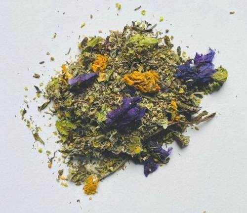 EQUIHERBS Respiratory
