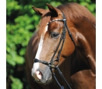 Ogłowie hanowerskie Kavalkada "Fiala"