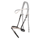 Nachrapnik Kavalkade "Aradis Ferskja"