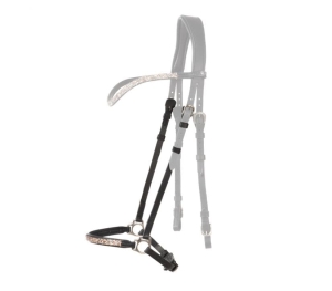 Nachrapnik Kavalkade "Aradis Ferskja Hannover"