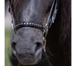 Pasek do nachranika Kavalkade "Kjartan Glansandi" 