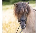 Nachrapnik Kavalkade "Kjartan Glansandi"