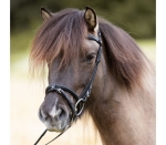 Nachrapnik Kavalkade "Kjartan Svartur"