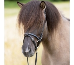 Nachrapnik Kavalkade "Kjartan Blar" 