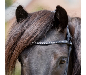 Naczółek Kavalkade "Kjartan Glansandi"