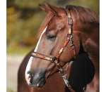 Kantar Kavalkade "Classic Raute"