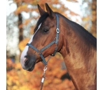 Kantar Kavalkade "Simple"