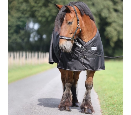 Derka-padokowa-Kavalkade-Draft-Horse