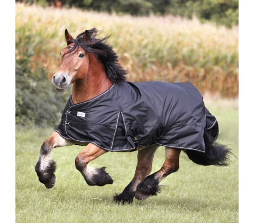 Derka-padokowa-Kavalkade-Draft-Horse
