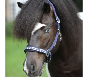 Kantar Kavalkade "Iceland Classic"