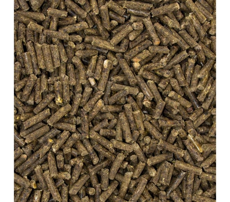 Dodatek minerlano-witaminowy dla koni starszych Speed Nr 1 Senior