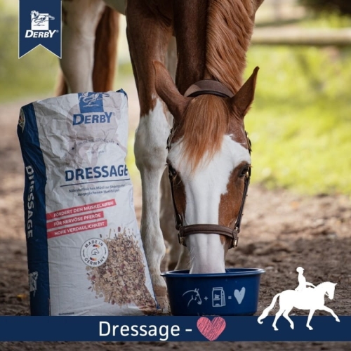 derby-dressage-musli-bez-owsa