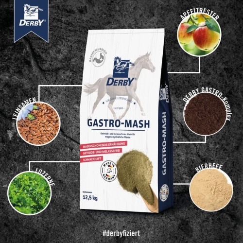 derby-gastro-mash