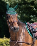 Ogłowie QHP Q-Cross Sedna