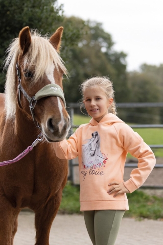 HKM Horse Spirit
