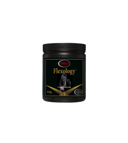 Suplement na stawy OMEGA EQUINE Omega Flexology