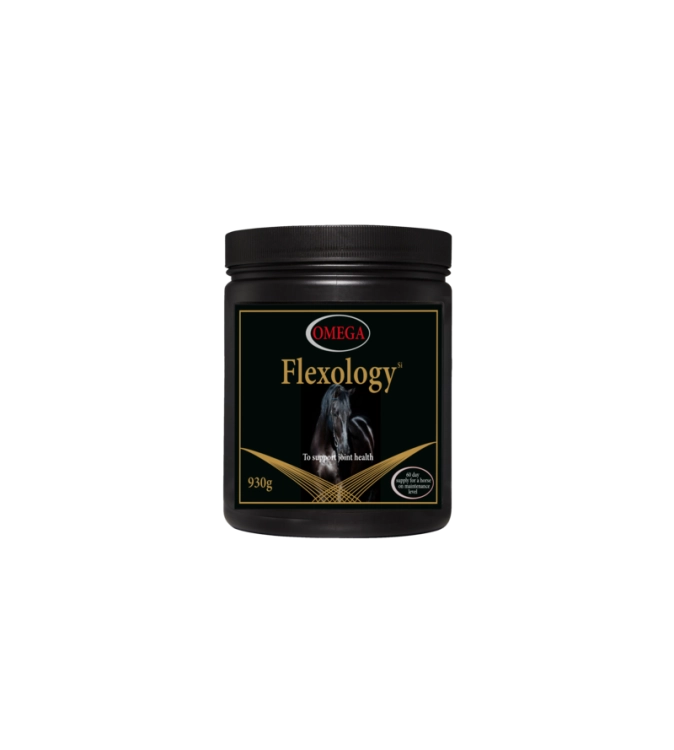 Suplement na stawy OMEGA EQUINE Omega Flexology