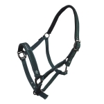 Kantar HorsEnjoy "Cassia"