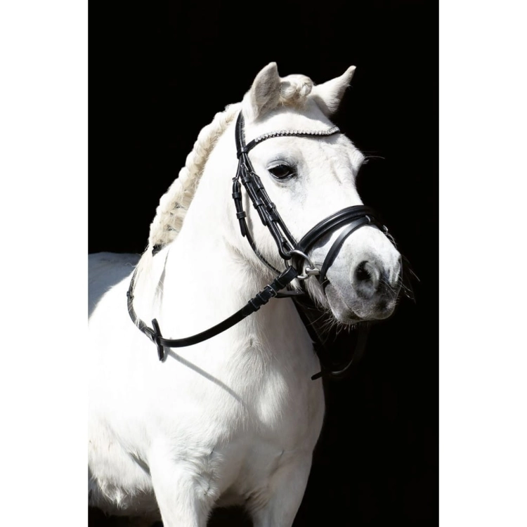 Ogłowie HKM Shetty Diamond