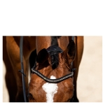 Ogłowie ANKY Pullback Noseband