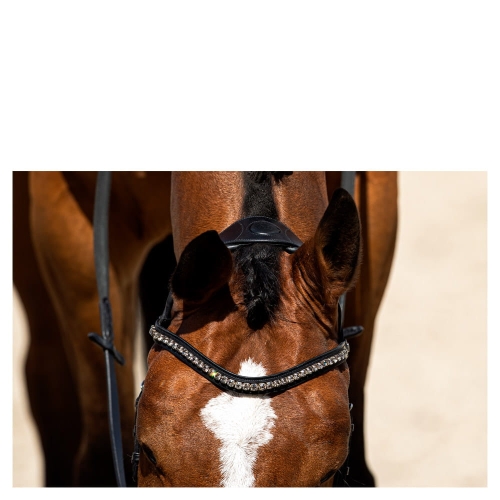 Ogłowie ANKY Pullback Noseband
