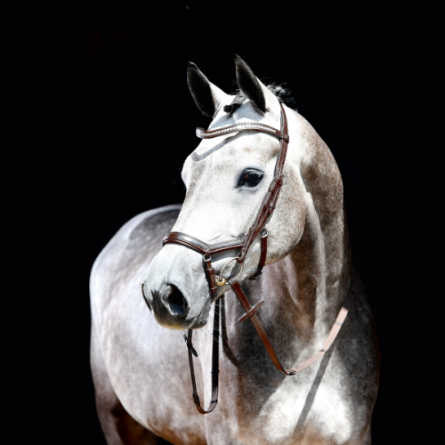 Ogłowie anatomiczne BUSSE Emotion