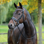 Ogłowie Busse "Monza"